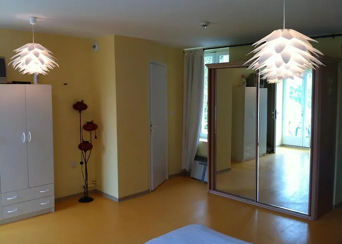 Hotel Le Vivier - Riviere *