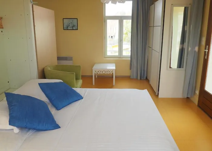 Hotel Le Vivier - Riviere *