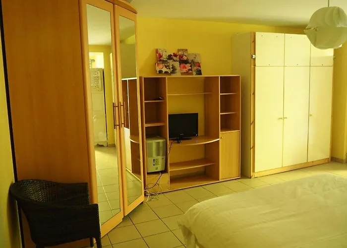 Hotel Le Vivier - Riviere *